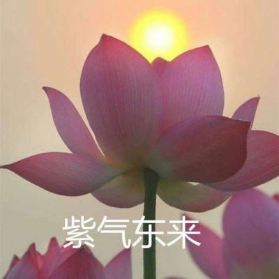 梦幻超级装备手游(暂未上线)v1.0 安卓版